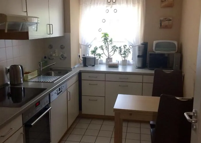 Проживание в семье Stay4Fair *