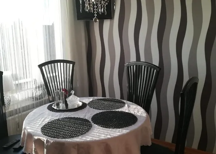 Stay4Fair Проживание в семье